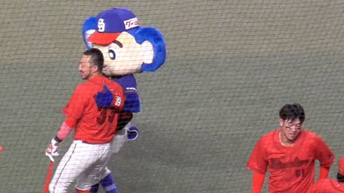 ドアラの友達　小園海斗に立ちはだかる菊地涼介先輩　中日ドラゴンズVS広島東洋カープ　2024/06/23