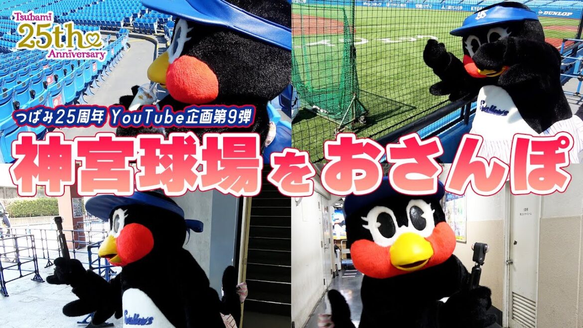 【つばみ25周年企画】10本目🎀開門前の神宮球場をおさんぽしてみた