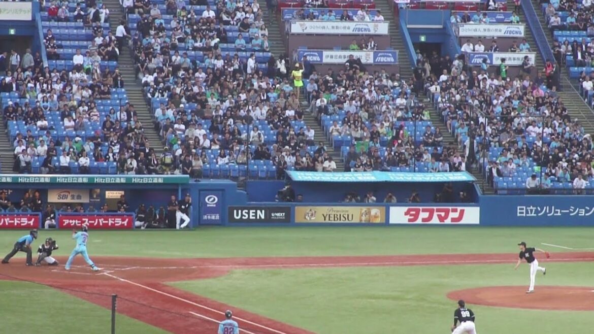 ヤクルト 西川遥輝 デッドボール　ヤクルト vs ロッテ　2024年5月29日(水)