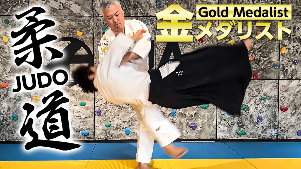 Judo gold medalist throws Aikido master Judo gold medalist throws Aikido master