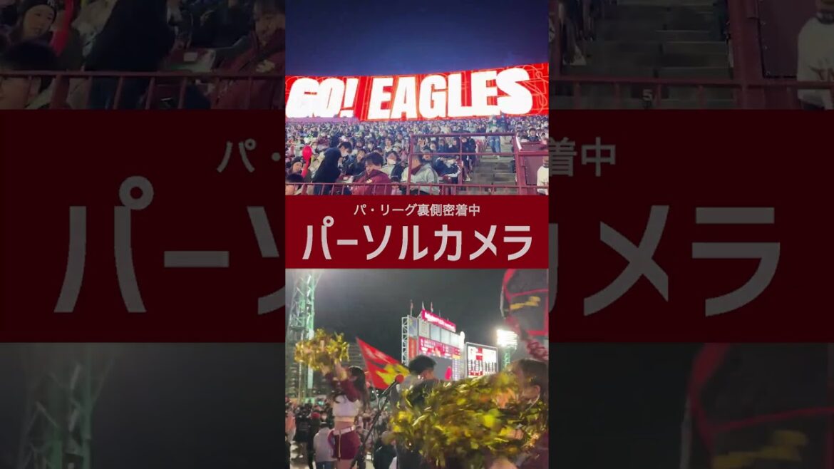 パ・リーグ裏側密着中！「パーソルカメラ」ファンとチームが心をひとつにする場所 #shorts
