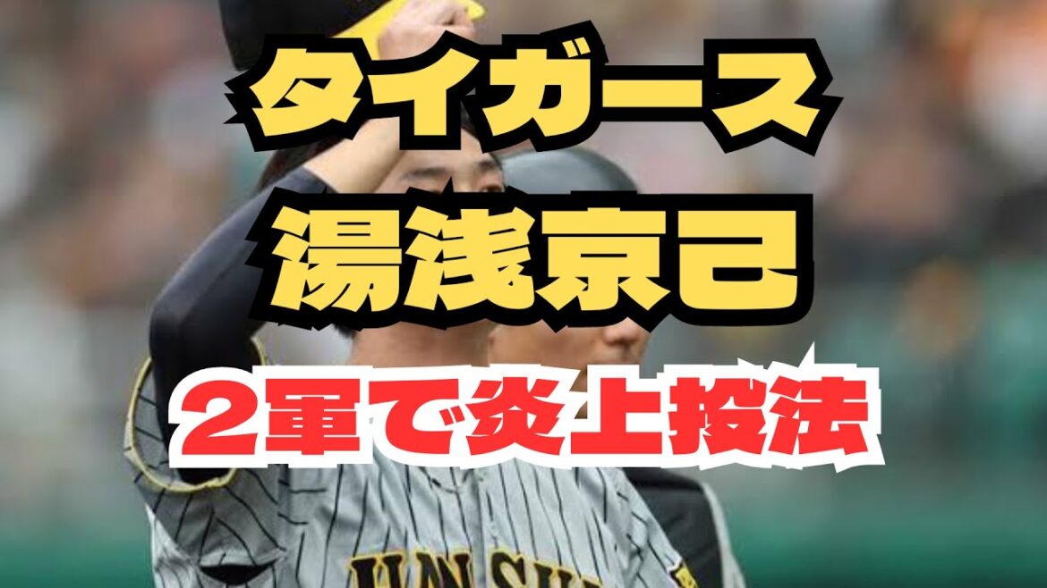 阪神タイガース　湯浅京己　現在地　どーなってんの