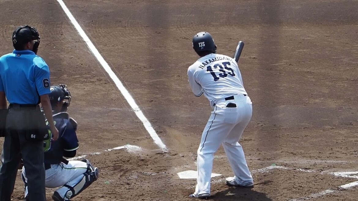 2024.06.08 埼玉西武-東京ヤクルト(カーミニーク) 仲三河優太 打席シーン