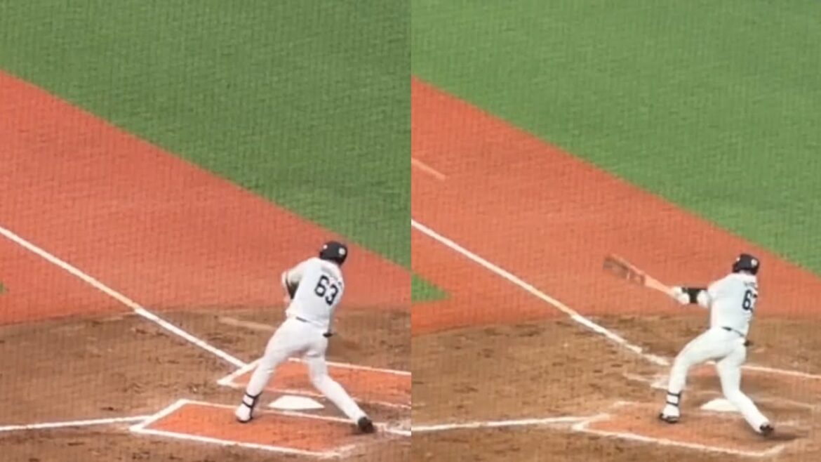 【ポジ要素】長谷川信哉 プロ初の猛打賞！(のうちの2本のヒット映像) 【西武vs DeNA】2024/6/15 セパ交流戦17戦目