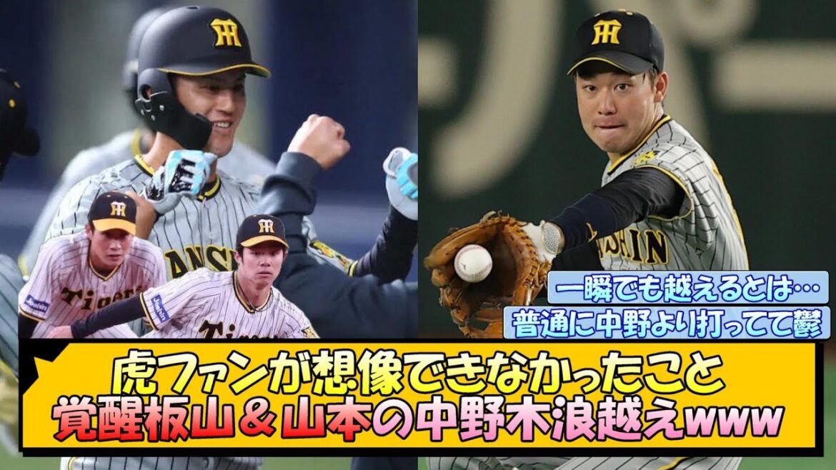 虎ファンが想像できなかったこと 覚醒板山＆山本の中野木浪越えwww【なんJ/2ch/5ch/ネット 反応 まとめ/阪神タイガース/岡田監督/中野拓夢/木浪聖也】