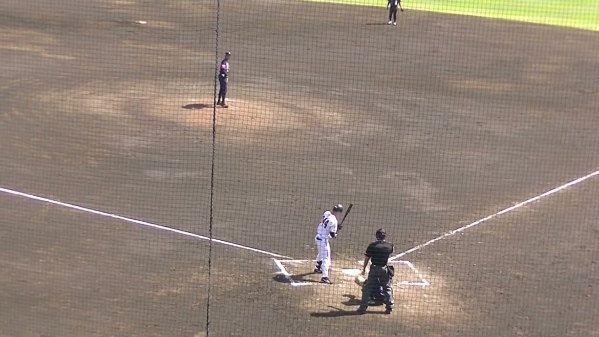 巨人 大城元を千葉SS元ソフトバンク 岡本直也が打ち取tたがエラーで出塁（読売ジャイアンツ対 千葉スカイセイラーズ2024年5月17日）