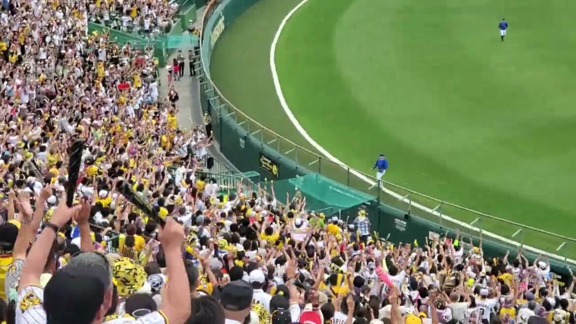 20240622【現地】大山悠輔　ﾚﾌﾄｽﾀﾝﾄﾞべ先制ソロホームラン　2回ｳﾗ　阪神タイガース@阪神甲子園球場･ﾚﾌﾄ外野