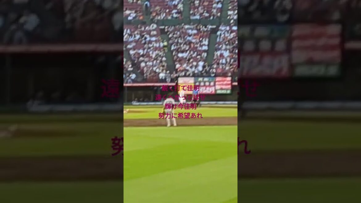 東北楽天ゴールデンイーグルス、渡邊佳明選手応援歌。