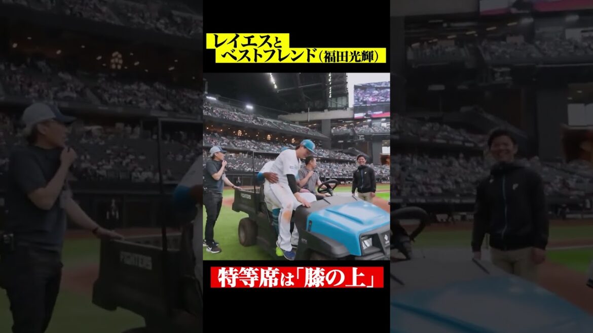 Pacific-League: 特等席は「膝の上」 #shorts 特等席は「膝の上」 #shorts