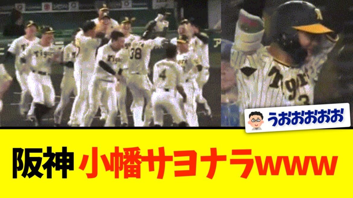 【阪神】小幡サヨナラwwwww