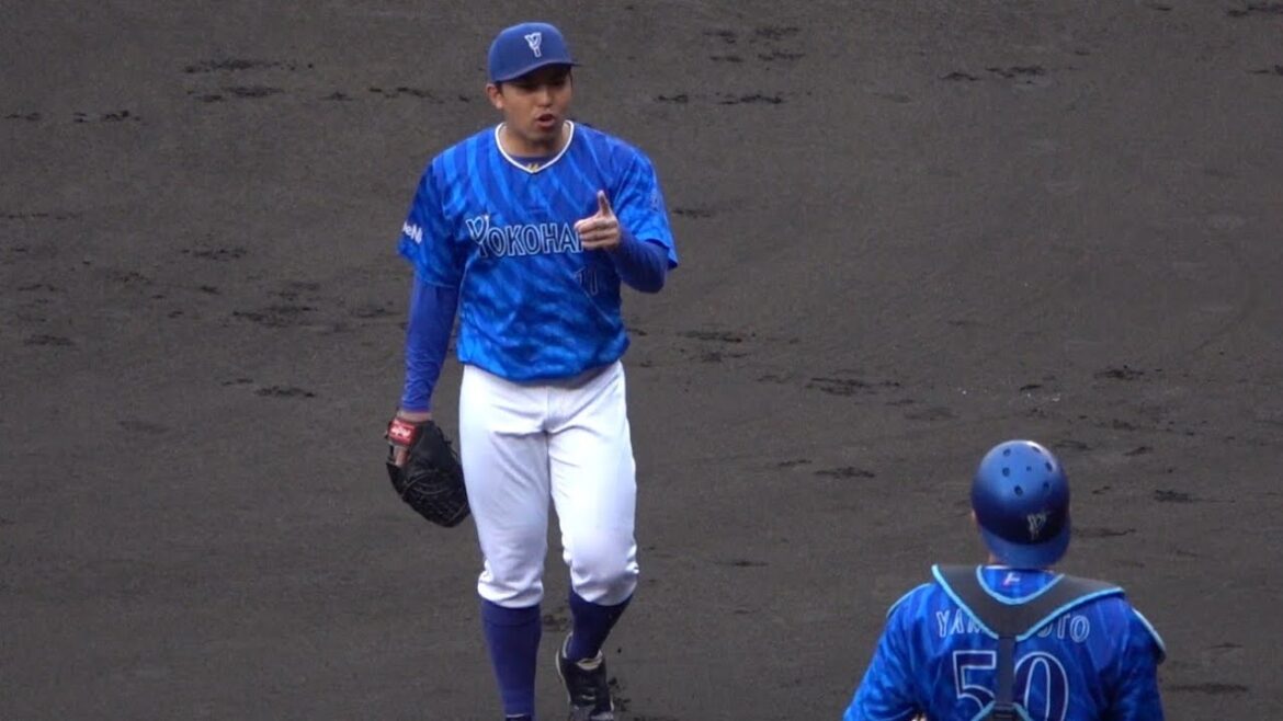 これぞエースだ東克樹！ダブルプレーに仕留め阪神チャンテを鎮める！2024/06/22 横浜DeNAベイスターズ