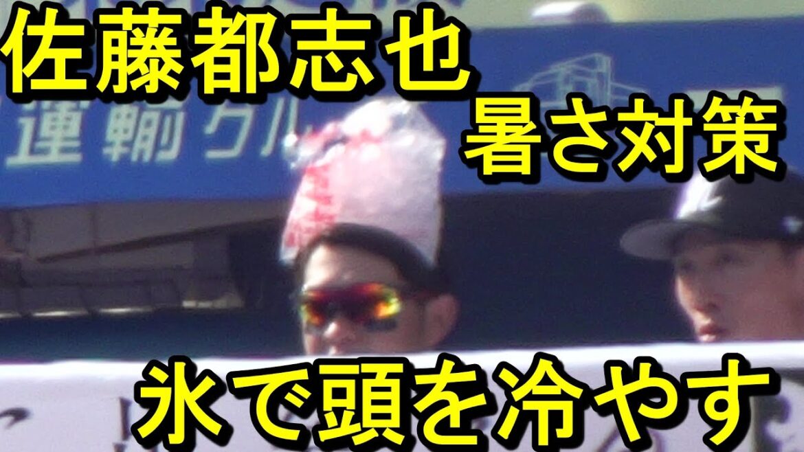 ロッテ佐藤都志也、暑さ対策　氷で頭を冷やす2024.6.16