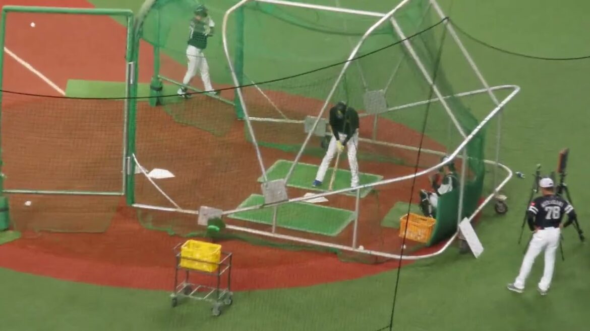 【4K画質視聴推奨】2024年3月30日 福岡ソフトバンクホークス 打撃練習 三森大貴 13 Part3&緒方理貢 57 Part3&三森 Part4&緒方 Part4 京セラドーム大阪にて 【4K画質視聴推奨】2024年3月30日 福岡ソフトバンクホークス 打撃練習 三森大貴 13 Part3&緒方理貢 57 Part3&三森 Part4&緒方 Part4 京セラドーム大阪にて