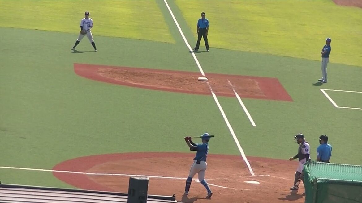 日ハム有薗直輝をライトフライに打ち取るヤクルト丸山翔大（2024年6月14日 ヤクルトスワローズ対 日本ハムファイターズ）