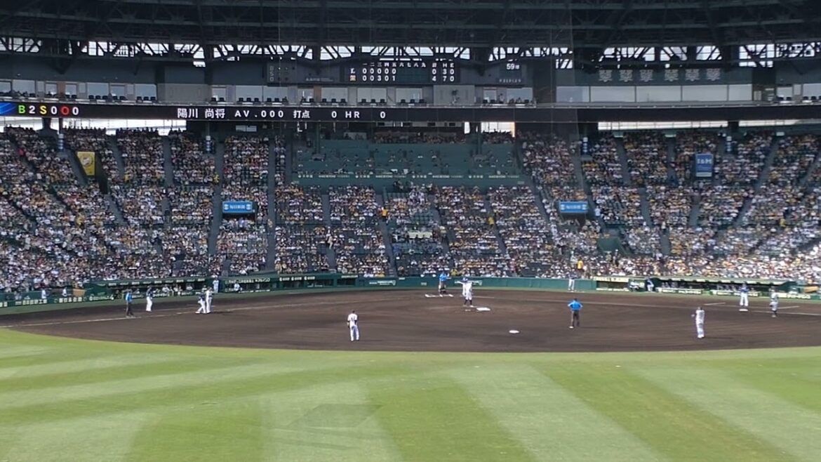 甲子園に帰ってきたゴリラ、陽川尚将