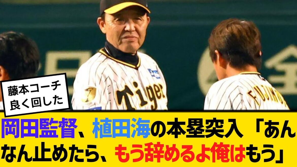 阪神・岡田監督、植田海の本塁突入「あんなん止めたら、もう辞めるよ俺はもう」 【ネットの反応】【反応集】 阪神・岡田監督、植田海の本塁突入「あんなん止めたら、もう辞めるよ俺はもう」 【ネットの反応】【反応集】