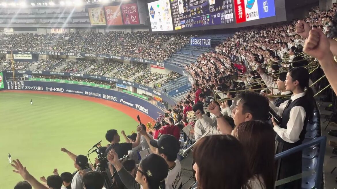 オリックス・バファローズ 若月健矢 応援歌 2024/6/16 バファローズ高校 大阪桐蔭