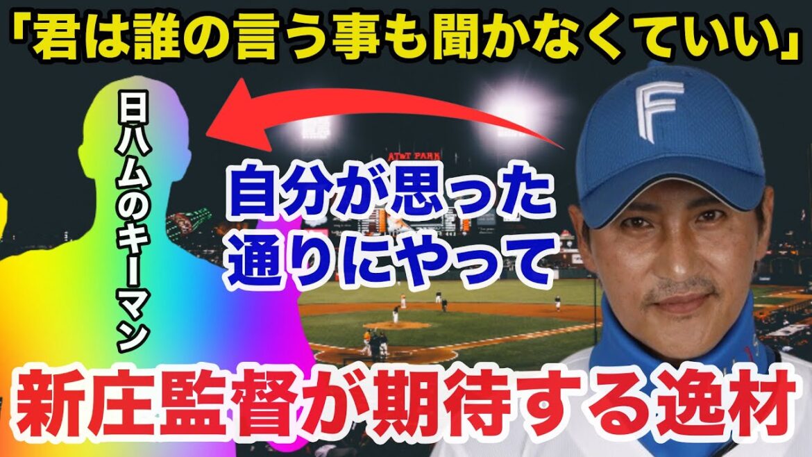 新庄監督「この子が後半戦のキーマン」新庄監督や関係者が絶賛する●●という日本ハムの逸材がヤバい【日本ハムファイターズ/プロ野球】 新庄監督「この子が後半戦のキーマン」新庄監督や関係者が絶賛する●●という日本ハムの逸材がヤバい【日本ハムファイターズ/プロ野球】