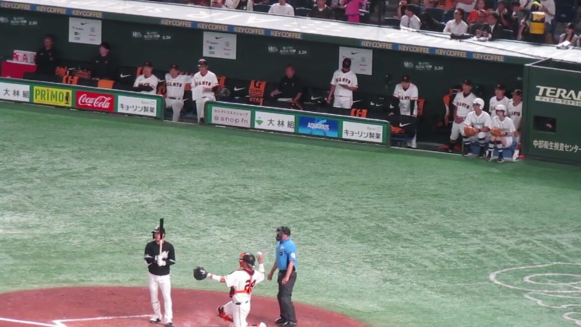 小川龍成 内野安打 巨人ベンチ阿部監督などの様子＜読売ジャイアンツ対 千葉ロッテマリーンズ2024年6月6日＞