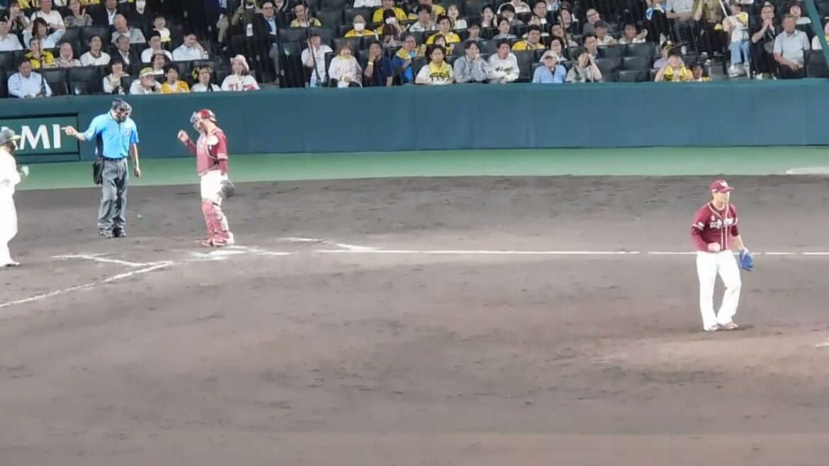 【痛恨すぎる】島田海吏 俊足活かせずまた併殺 昇格後は4打席で2併殺 一打同点のチャンスが一瞬でフイに 痛恨の甲子園5連敗