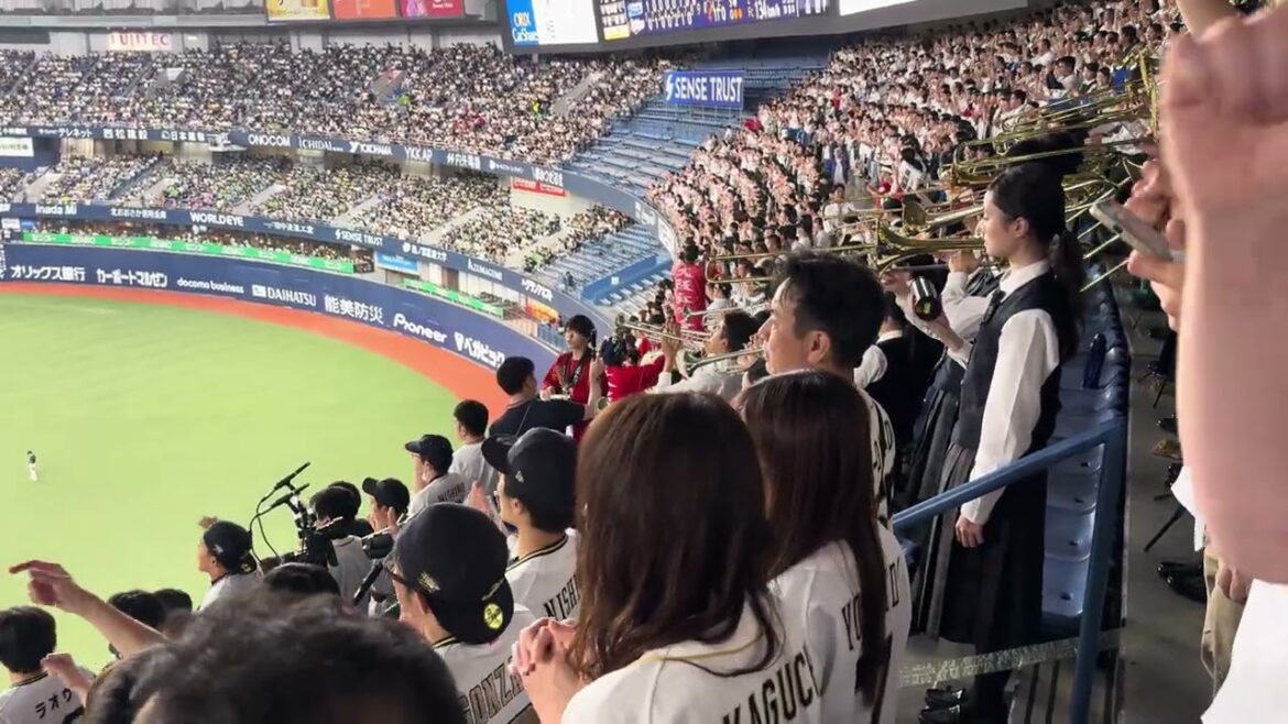 オリックス・バファローズ 西野真弘 応援歌 吉田正尚 境地 2024/6/16 バファローズ高校 大阪桐蔭 2