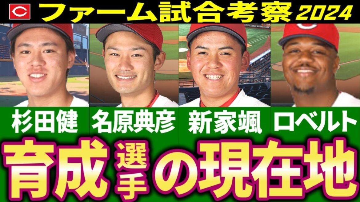 【広島カープ2軍考察】育成たちの現在地【2024】 【広島カープ2軍考察】育成たちの現在地【2024】