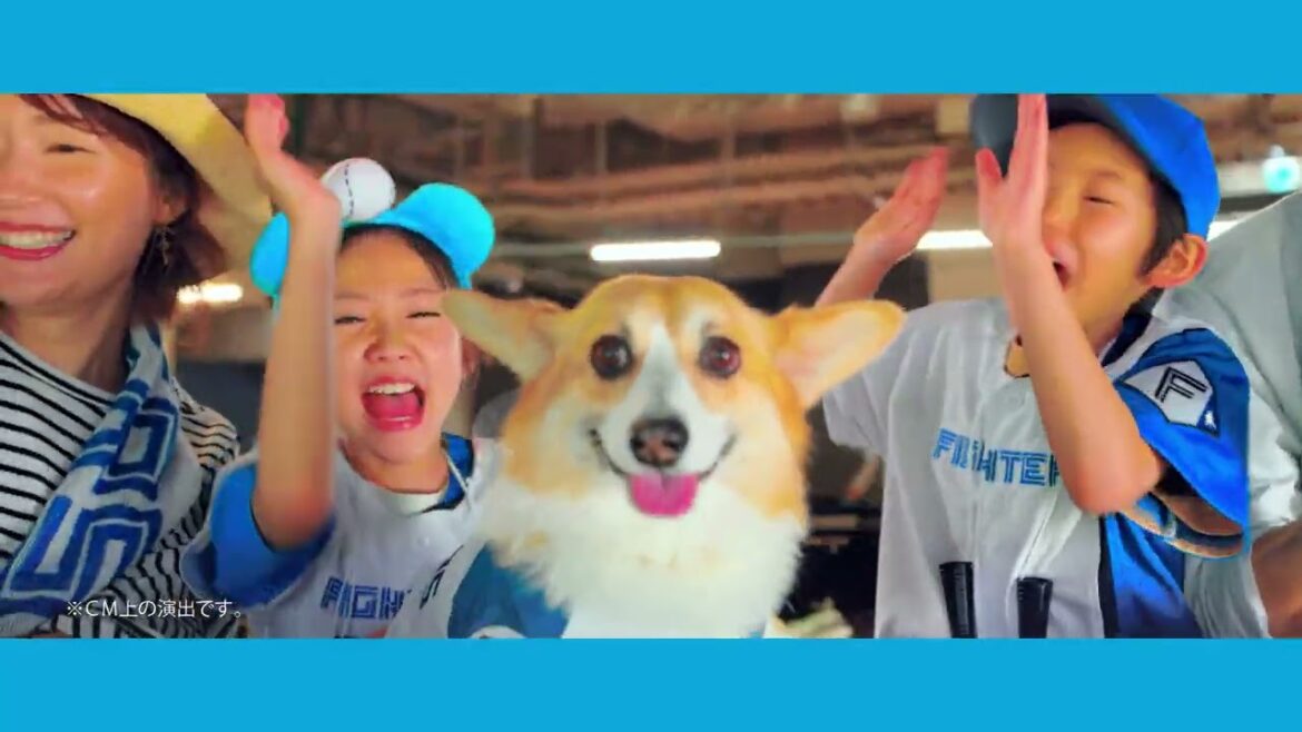 【夏だ！】みんなで行こう！エスコンフィールド