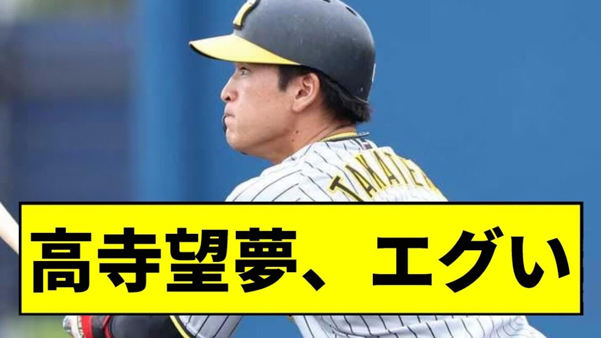 【阪神】次世代ショートが高寺で決まりそうwwwwwwwwwwww【2chスレ】 【阪神】次世代ショートが高寺で決まりそうwwwwwwwwwwww【2chスレ】