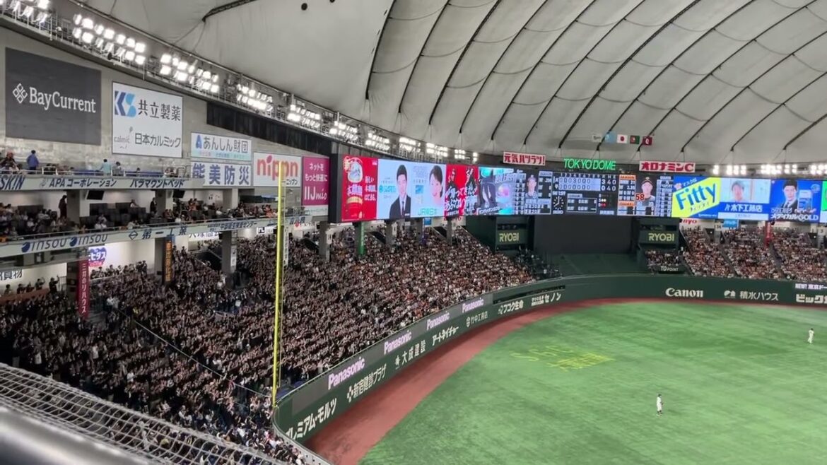 2024 千葉ロッテ 荻野貴司 応援歌