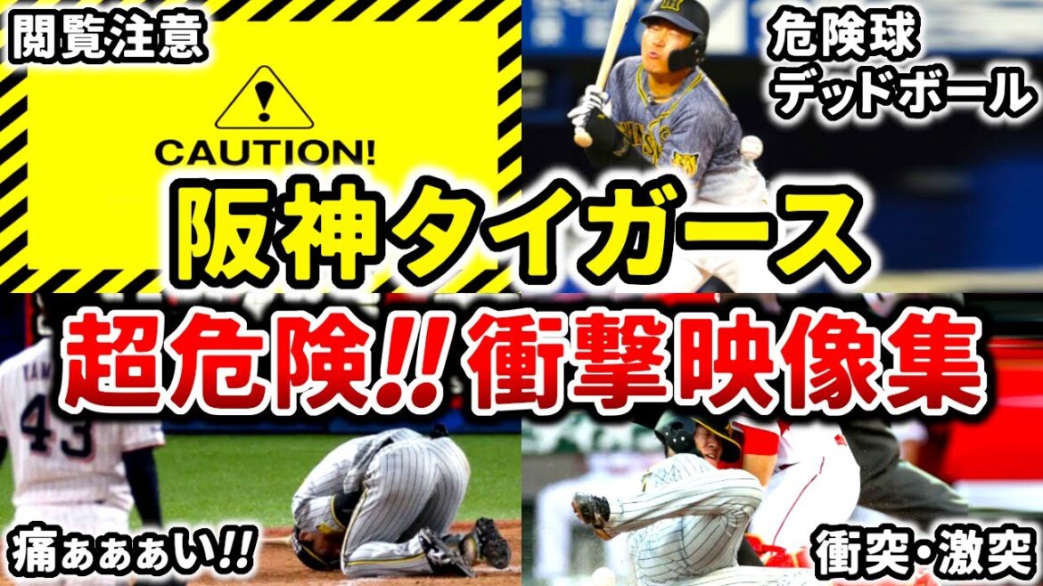 【閲覧注意】阪神タイガース 超危険!!衝撃映像集!! (Hanshin Tigers)