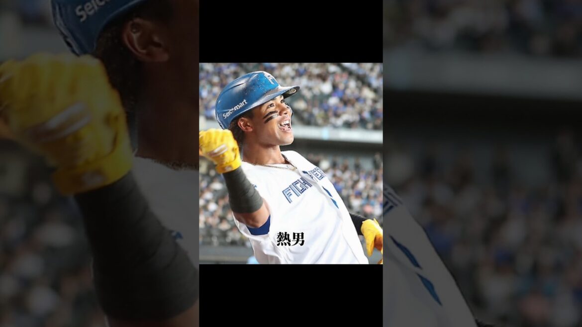 日本ハムで覚醒する水谷瞬 日本ハムで覚醒する水谷瞬