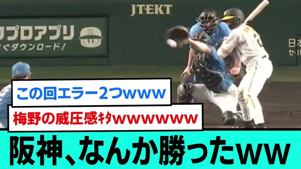 阪神、なんか勝ったwwwwwwwwwサヨナラ直前直後の阪神ファンの反応【阪神タイガース/プロ野球/なんJ2ch5chスレまとめ/セリーグ/梅野隆太郎/豊田寛/島本浩也/森下翔太/2024年6月18日】