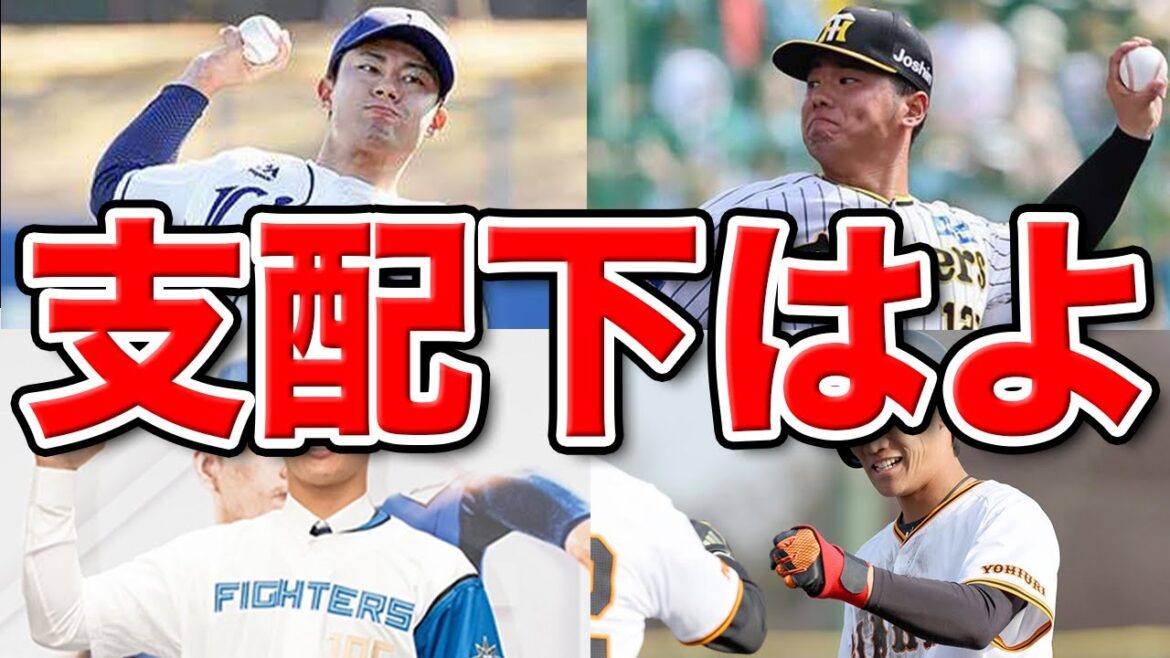 【育成選手】今後支配下昇格しそうな選手たち！ガチ補強できる球団も・・SP【ペナント】