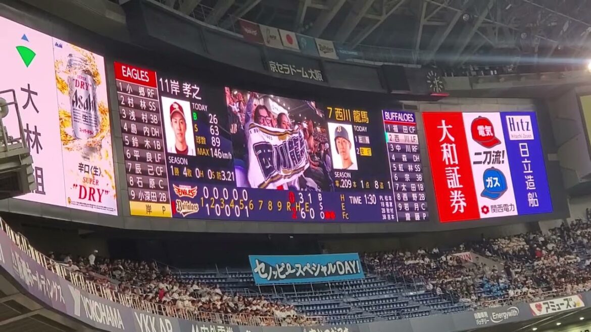 20240519　中川圭太　カッコいい登場映像　5回ｳﾗ　ｵﾘｯｸｽ･ﾊﾞﾌｧﾛｰｽﾞ@京ｾﾗﾄﾞｰﾑ大阪･ﾚﾌﾄ外野下段