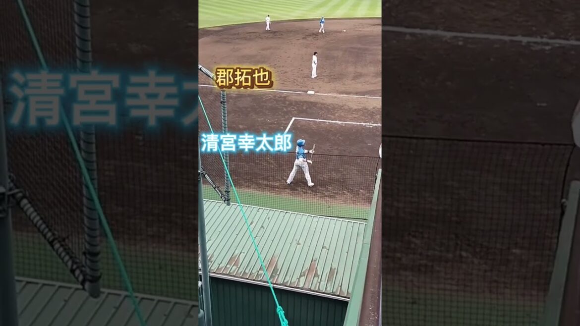 【2024/6/9】郡拓也くん、清宮幸太郎くんが近くにいるよ！気がついて😄 #shorts #巨人 #日本ハム #ファイターズ #fighters #ジャイアンツ #giants