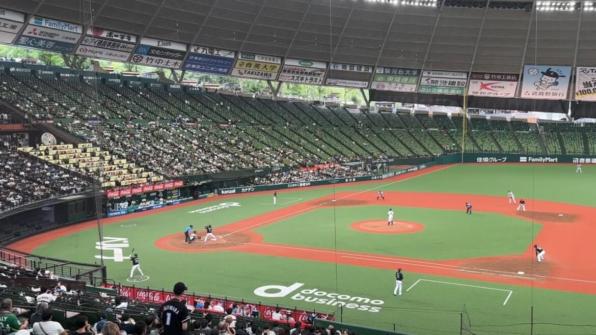 【昨日の倍のお客さん】観衆3,430人のベルーナドームはこんな感じでした【西武vs ロッテ】2024/6/22ファーム 【昨日の倍のお客さん】観衆3,430人のベルーナドームはこんな感じでした【西武vs ロッテ】2024/6/22ファーム