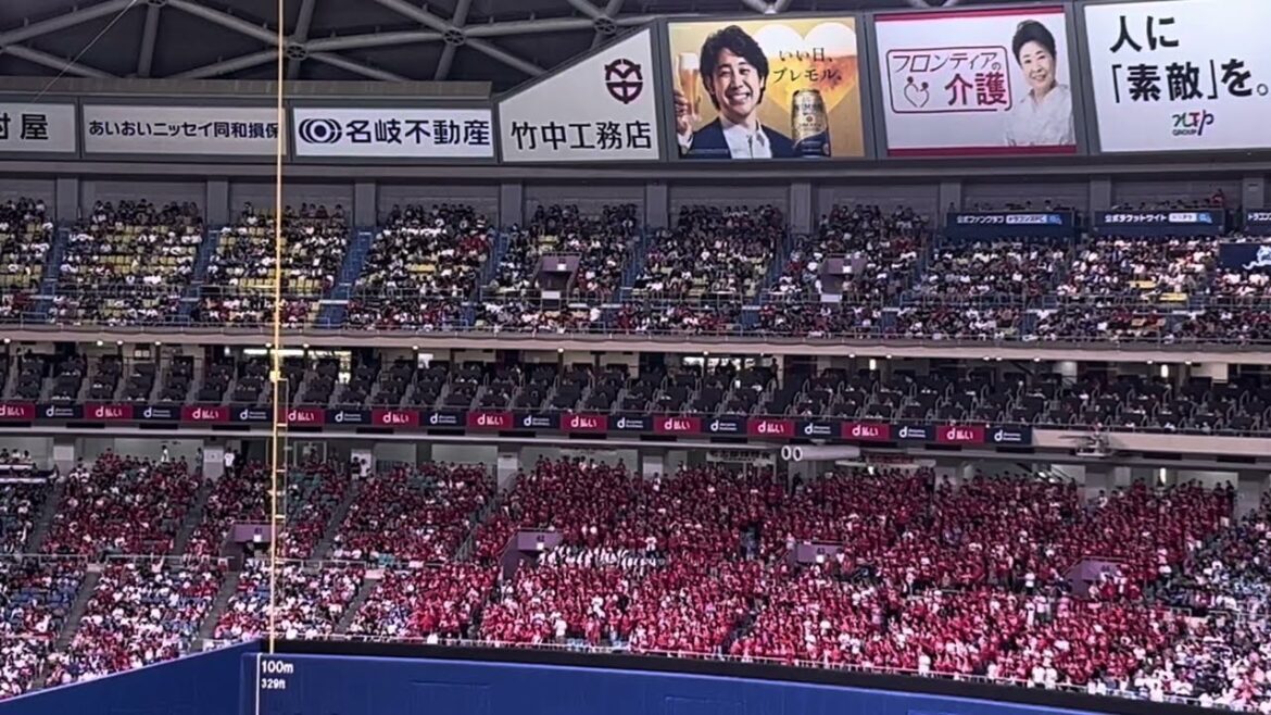 2024.6.23 【広島東洋カープ】応援団がバンテリンドームナゴヤで大迫力な【菊池涼介】選手応援歌マジ凄い！