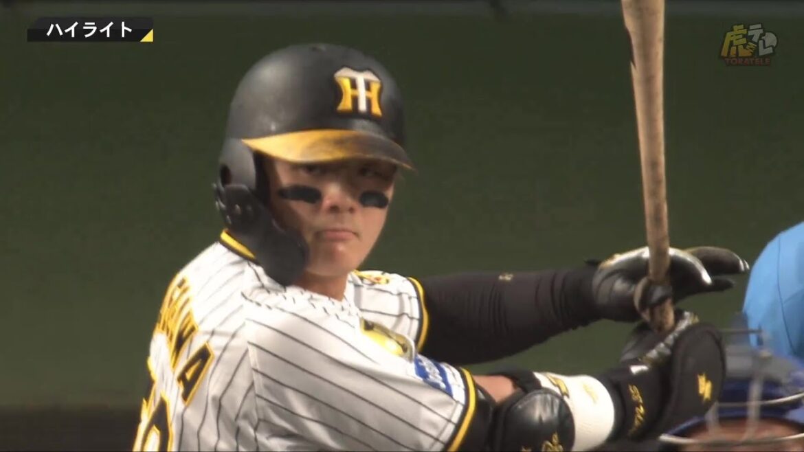 【ハイライト】阪神vs中日【2024/6/26Ｔ－Ｄ】