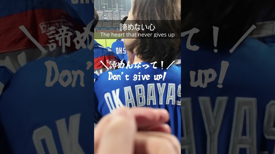 諦めない心#中日ドラゴンズ #神宮球場 #野球 諦めない心#中日ドラゴンズ #神宮球場 #野球