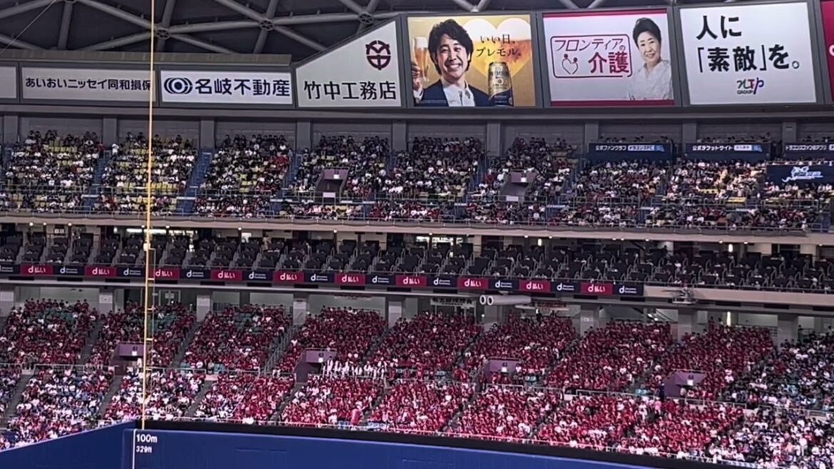 2024.6.23 【広島東洋カープ】応援団がバンテリンドームナゴヤで大迫力な【矢野雅哉】選手応援歌マジ凄い！