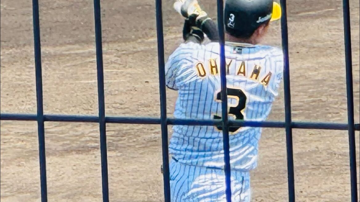【復活への第一歩】大山悠輔 ファームで復帰後初安打を放つ フルカウントまで整えて綺麗にセンター返し