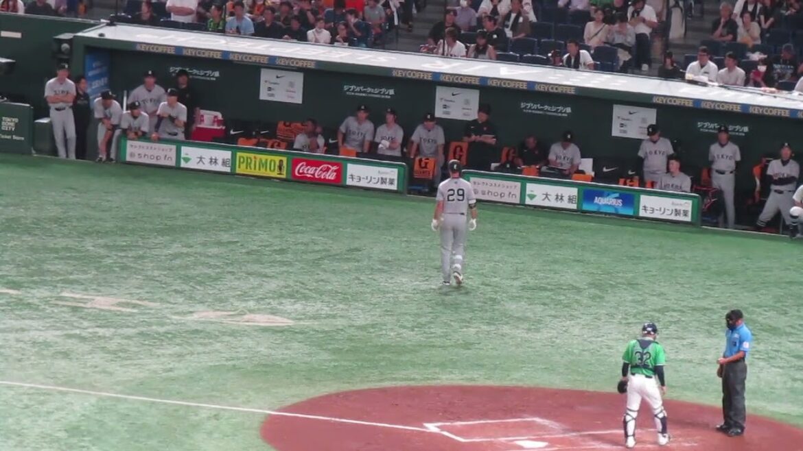 丸佳浩がヒットで出塁 バンザイする巨人ベンチ（2024年6月22日 読売ジャイアンツ対ヤクルトスワローズ）