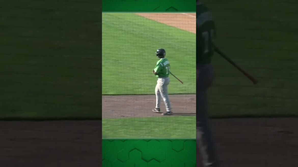 Ending The First Half On A Good Note 🏃💨 #highlights #milb #feelthefire