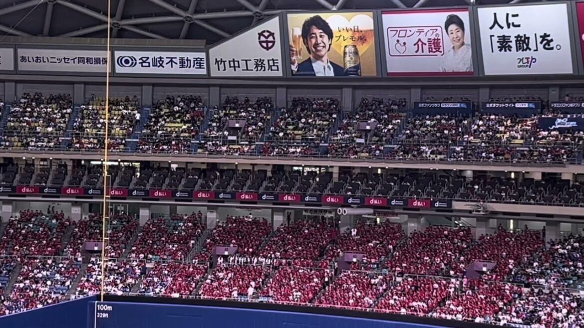 2024.6.23 【広島東洋カープ】応援団がバンテリンドームナゴヤで大迫力な【野間峻祥】選手応援歌マジ凄い！