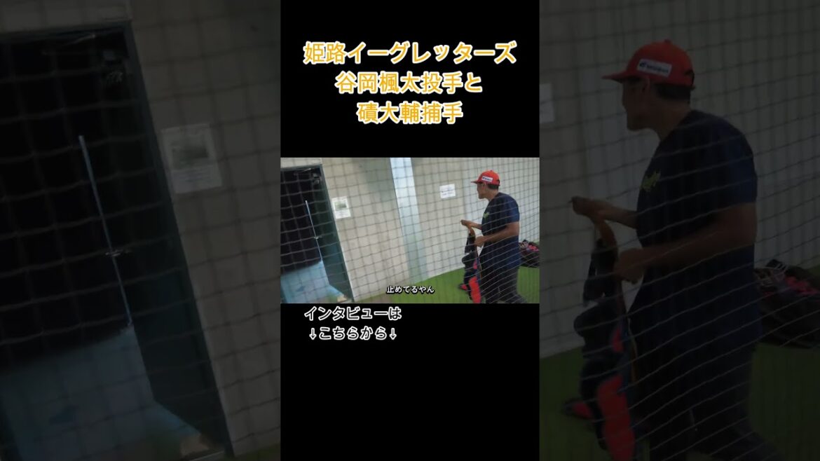 【再起をかける】姫路イーグレッターズ・谷岡楓太投手 #shorts 【再起をかける】姫路イーグレッターズ・谷岡楓太投手 #shorts