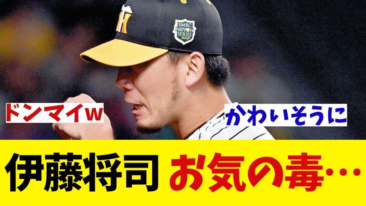 阪神・伊藤将司　お気の毒にwwwwww【野球情報】【2ch 5ch】【なんJ なんG反応】