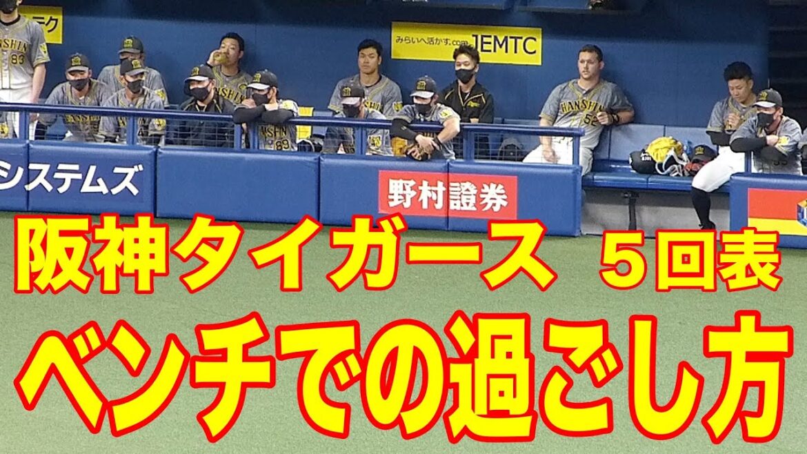 見てるだけで面白い！阪神タイガースベンチの様子 ５回表【2021 プロ野球】