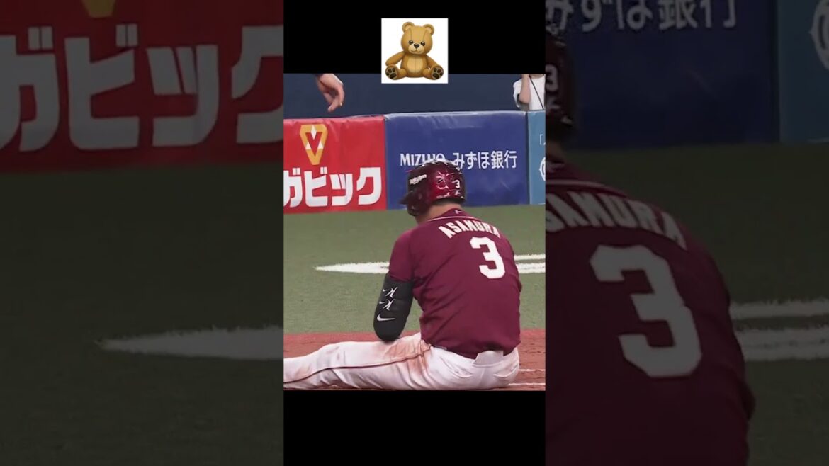 Pacific-League: テディベアまとめ #shorts テディベアまとめ #shorts