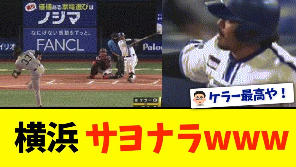 【横浜】宮﨑、サヨナラホームランwww