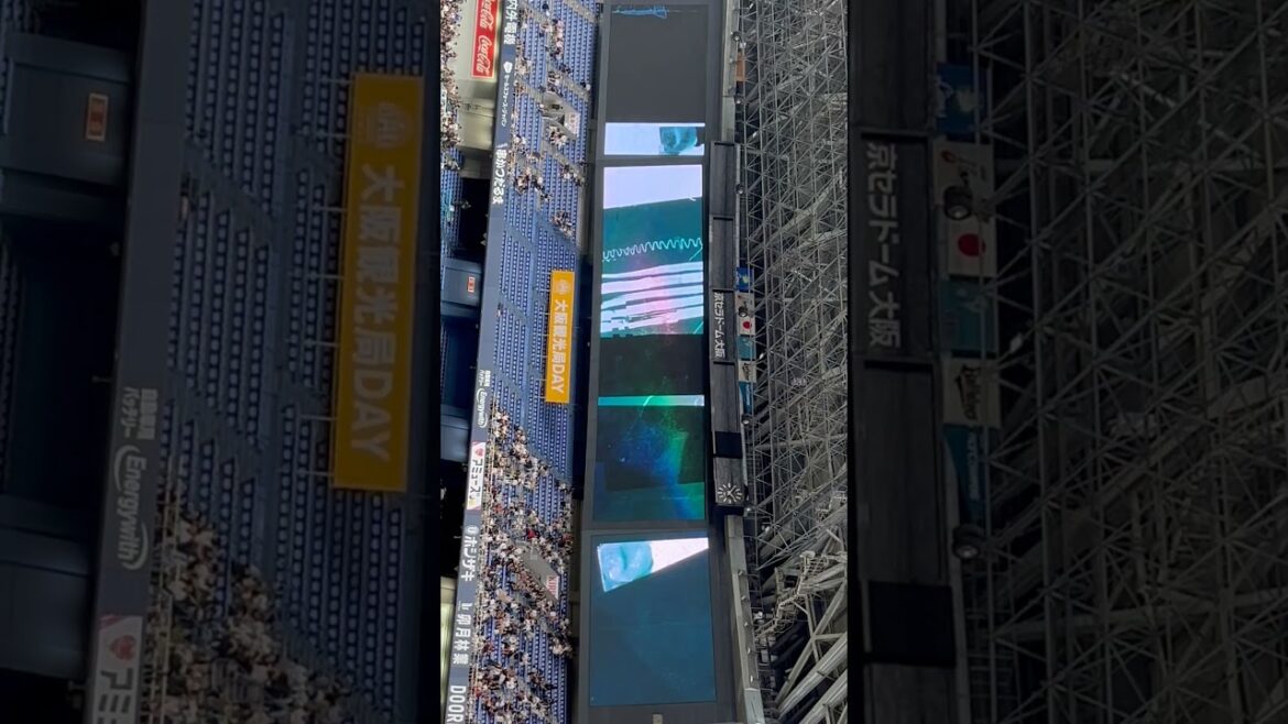 【オリ姫デー】廣岡大志選手 ビジョン映像 #B_ROCK オリックスバファローズ